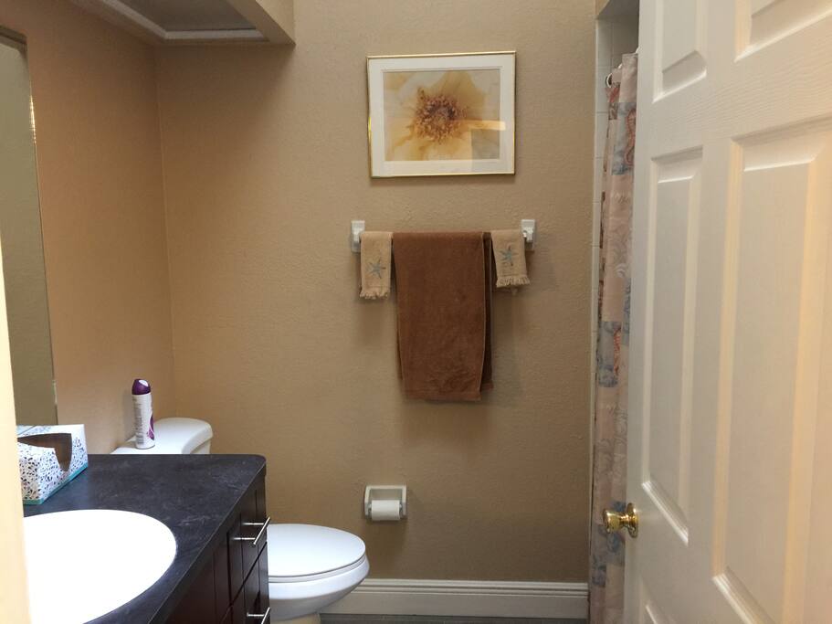 Guest Bath