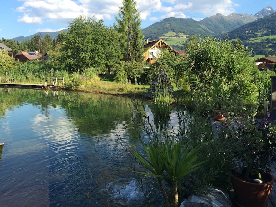 Ausblick vom Badeteich in die Nachbarschaft und in die Berge