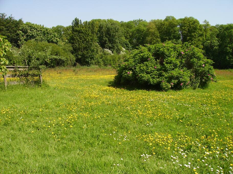 View from sitting room