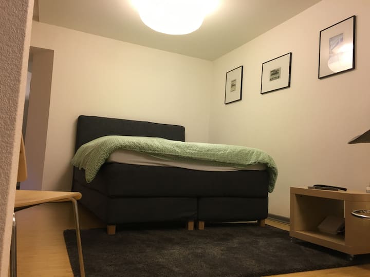 Studio Cosy Hyper-centre Strasbourg - Baignoire - Estrasburgo