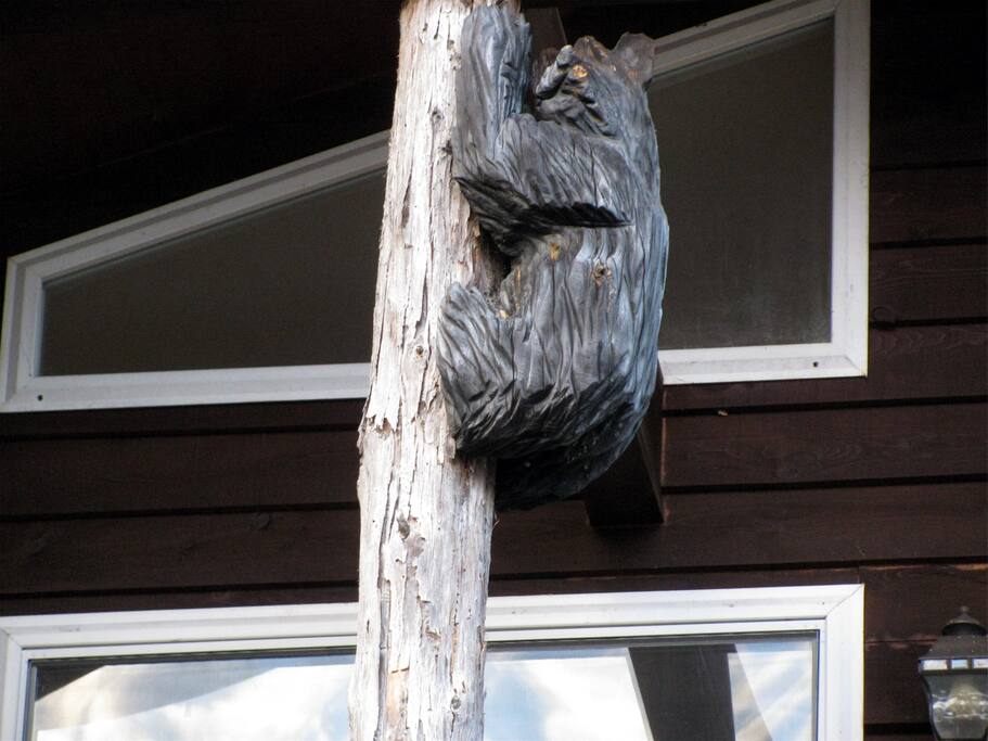 One of the local Bears hanging around