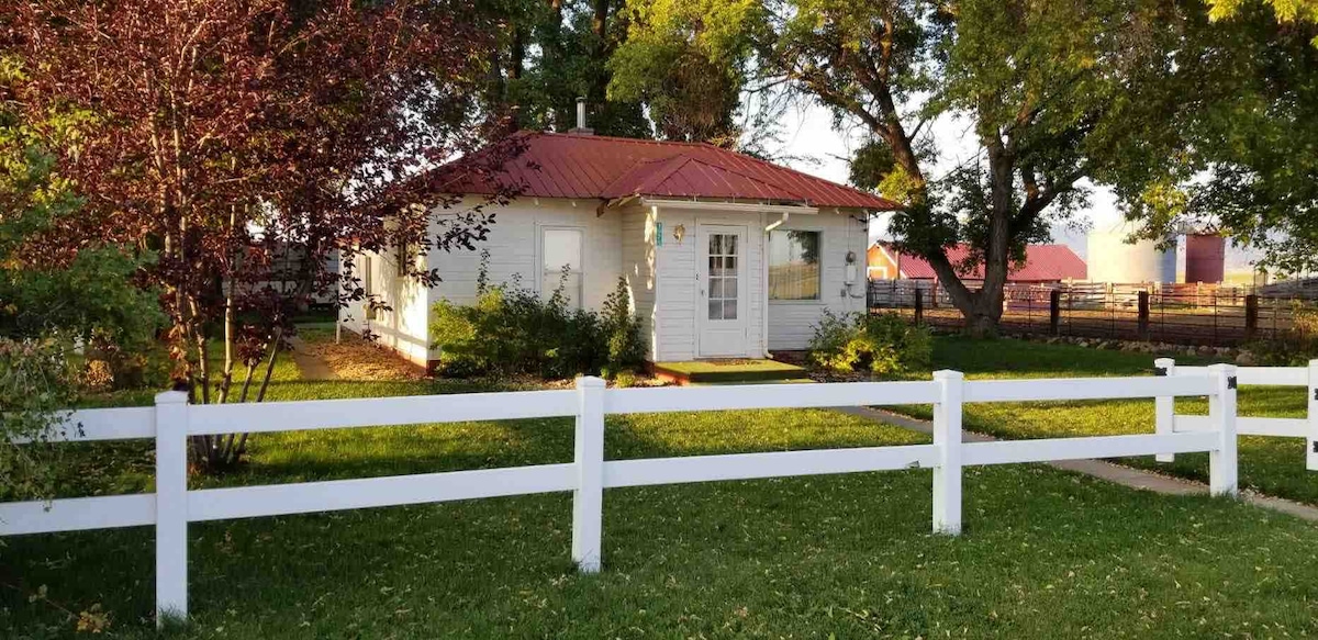 A charming farmhouse is set within a fenced yard, featuring a red metal roof and a welcoming white facade. Lush green grass and a few trees surround the house, with a white picket fence defining the property line. The approach is enhanced by a pathway leading to the front door.