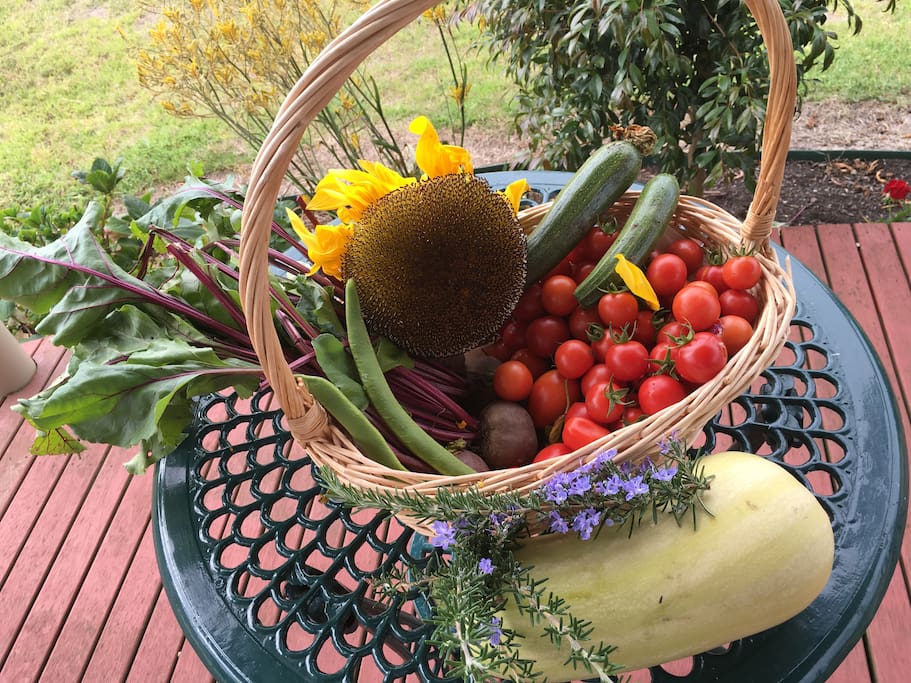 Garden Autumn harvest!
