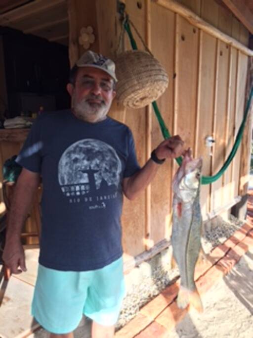 Robalo pescado com isca artificial