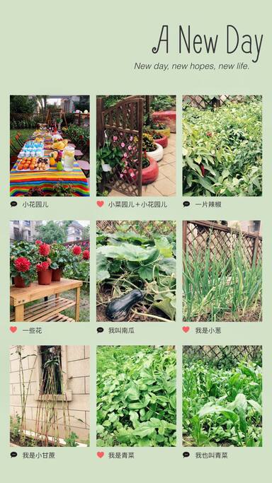 花园加菜园