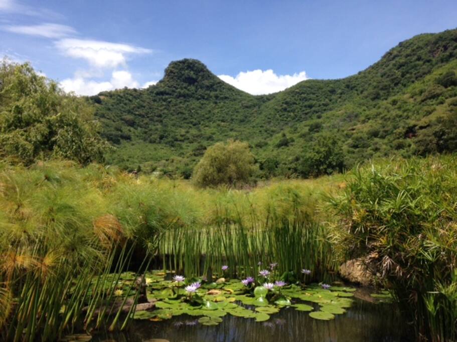 Hermosa Vista del cerro de la Asunción, emblema de Malinalco. La amplitud de las vistas de la propiedad es espectacular. Por esto nos enamoramos del lugar.