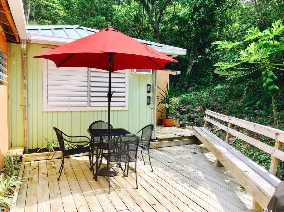 BBQ deck & Gas Grill