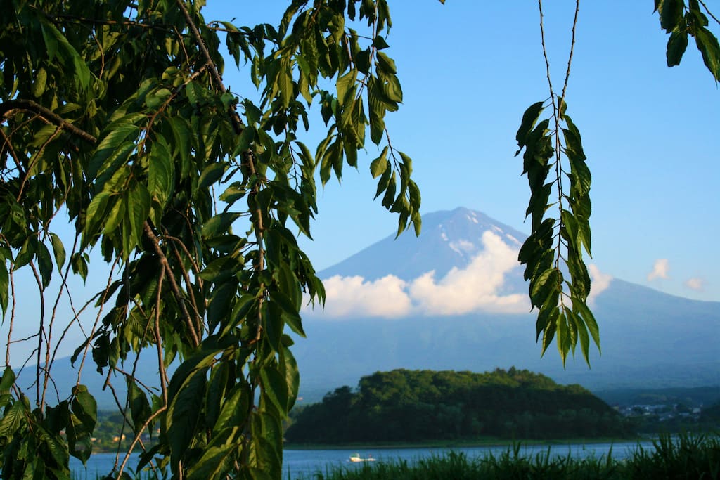 大石公園 Natural Living Center