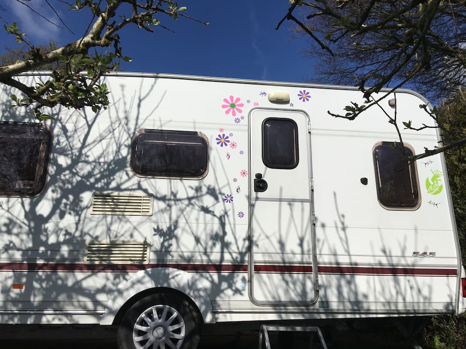 Meet Sunny!
"Sunny" is our on-site van to rent, but you can bring your own van or tent and just hire the pitch- just get in touch for pricing!