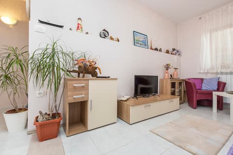 Successful Airbnb property: Apartment for 6 persons near Labin and Rabac in Marceljani