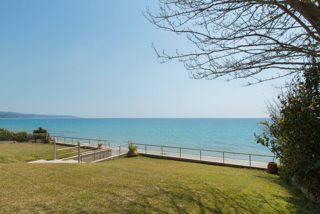 Front yard