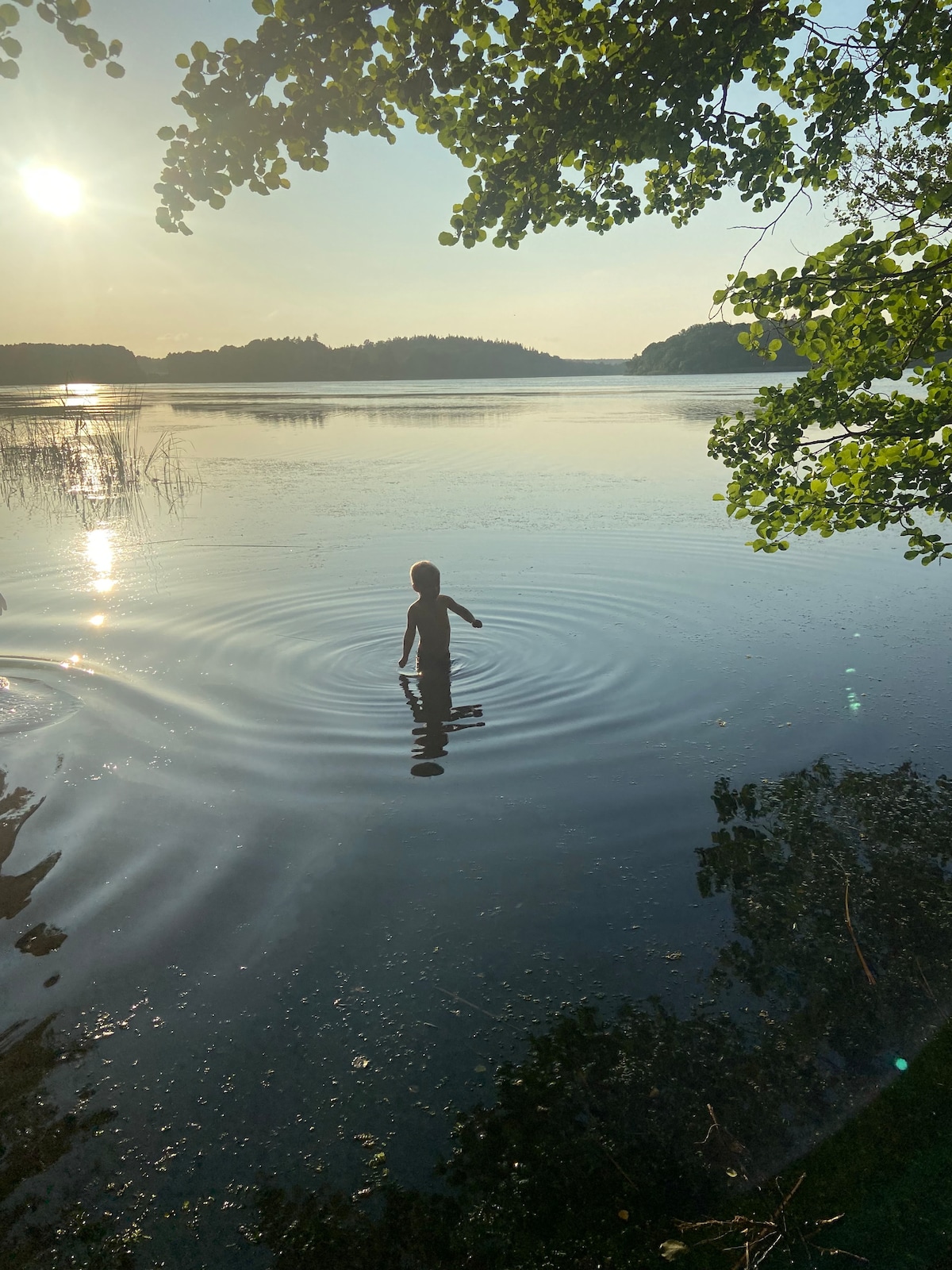 A serene lake scene is depicted, with a figure standing amidst gentle ripples in the water. The sun casts a warm glow, illuminating the surrounding landscape, including trees and distant hills reflected on the lake's surface.