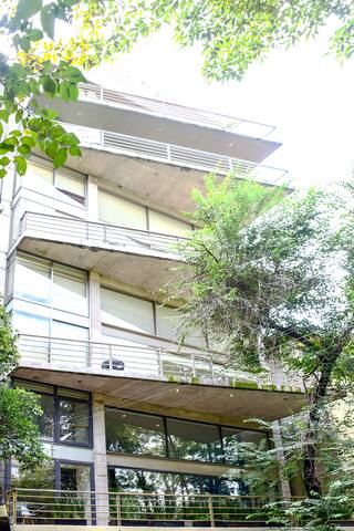 TU5|5BR|Condesa | local co | Group Travel gallery image 4
