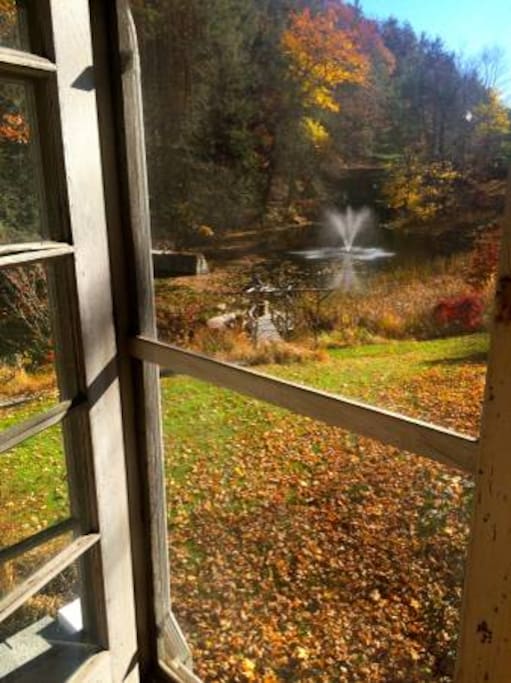 View of pond from Sun Porch