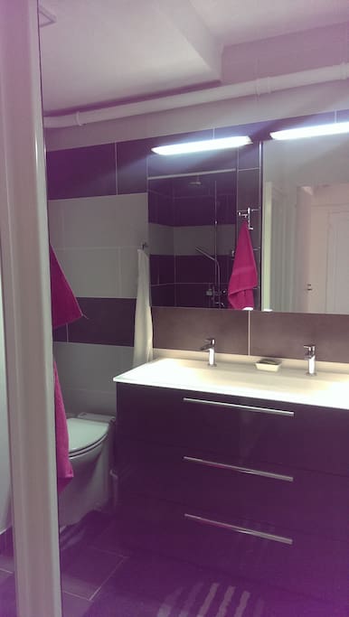 The bathroom features a spacious shower, a toilet as well as plenty of space for guest toiletries