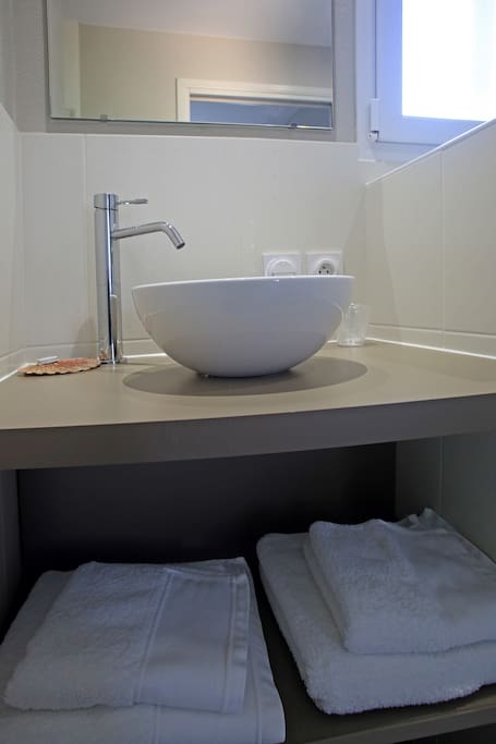 salle de bain avec douche et WC