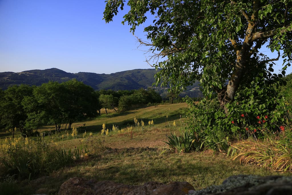 Vue depuis le gîte