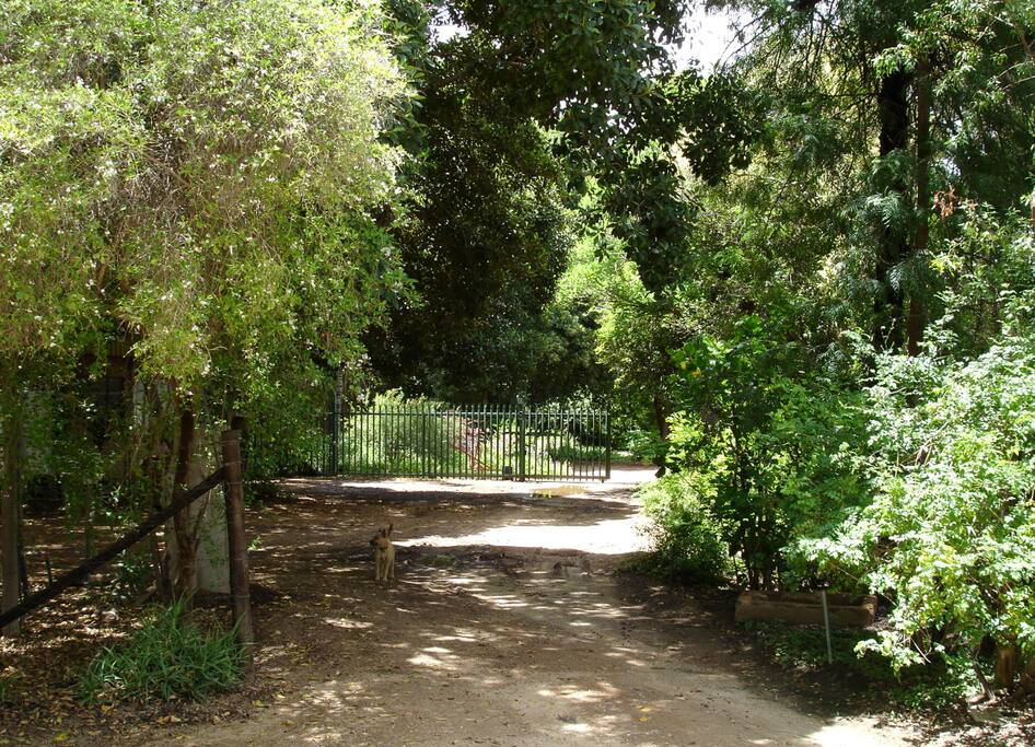 Our entrance.