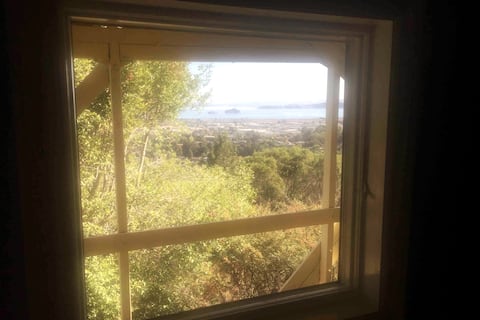 Earthly Oasis in Marin (64 degrees & parking)