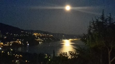 A serene night view showcases a full moon casting a glow over the water, creating shimmering reflections. The landscape features illuminated houses along the hillsides, with trees framing the scene, emphasizing the tranquil ambiance of the coastal setting.