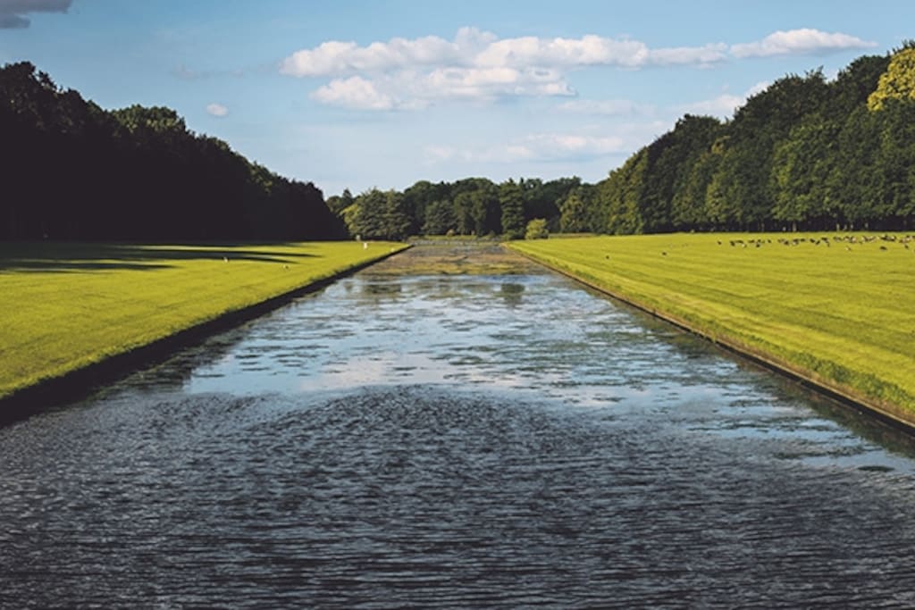 Park of tervuren- 100m