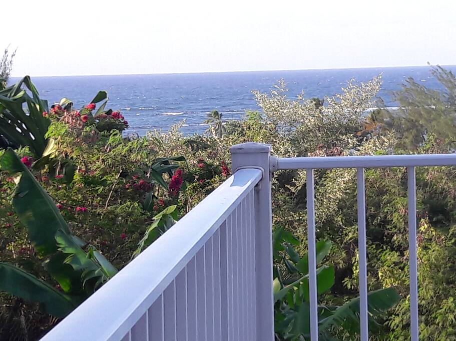 Vue de la terrasse de
l'appartement Atlantique