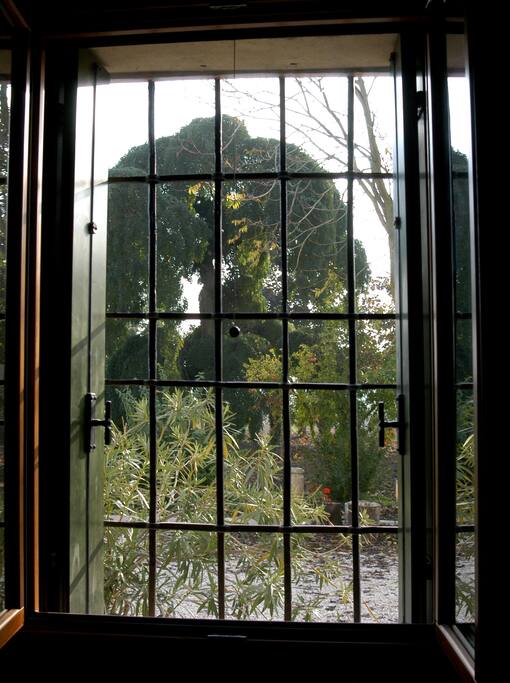 vista parco dominato dalla pluricentenaria sophora japonica