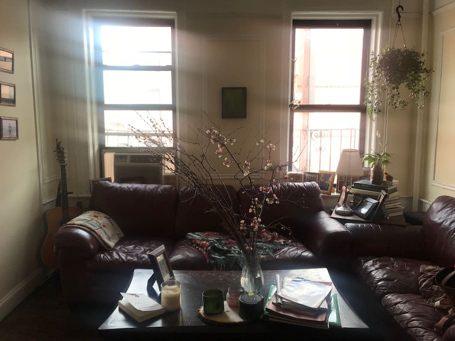Living room.