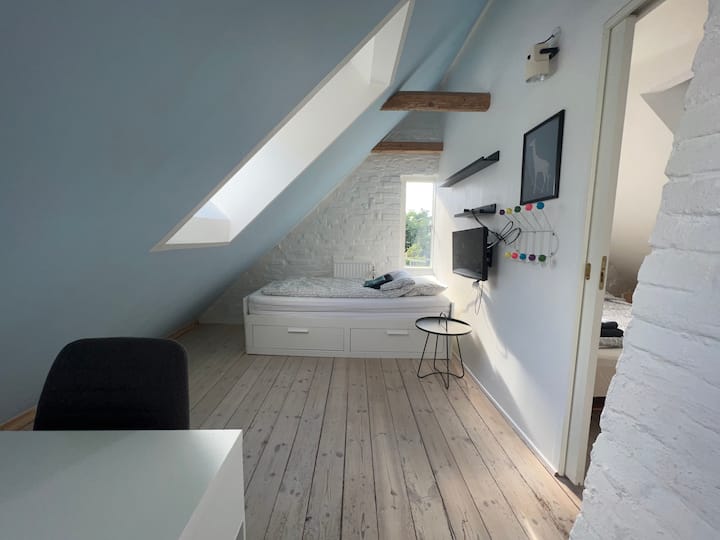 Quarto de 2 pessoas, sofá-cama puxado para fora
Northside
Tons para janela do telhado