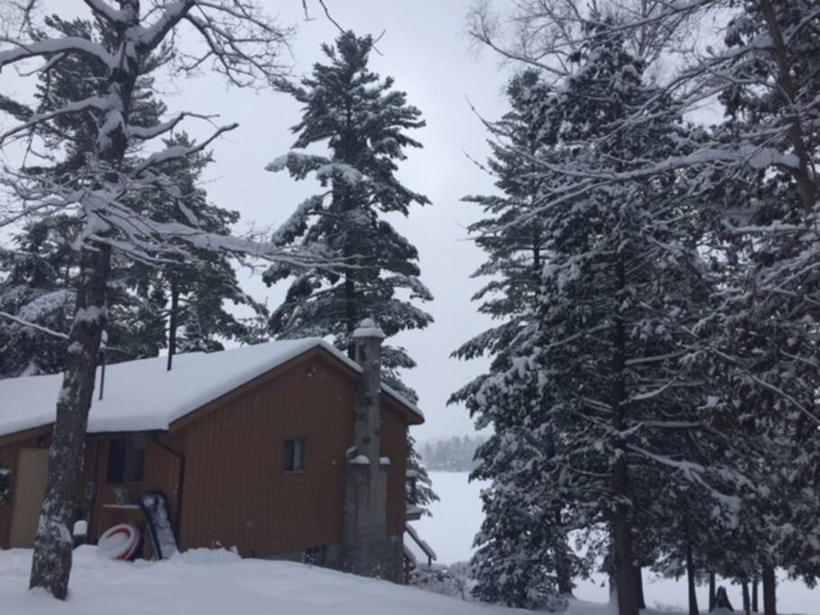 front of cottage