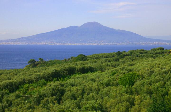 Villa Rosmary - APT Vesuv - Küste von Sorrent - Airbnb