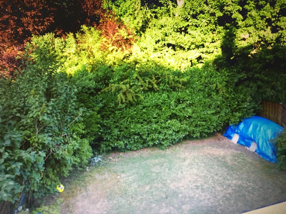 Vue sur le jardin avec derrière l'accès au parc