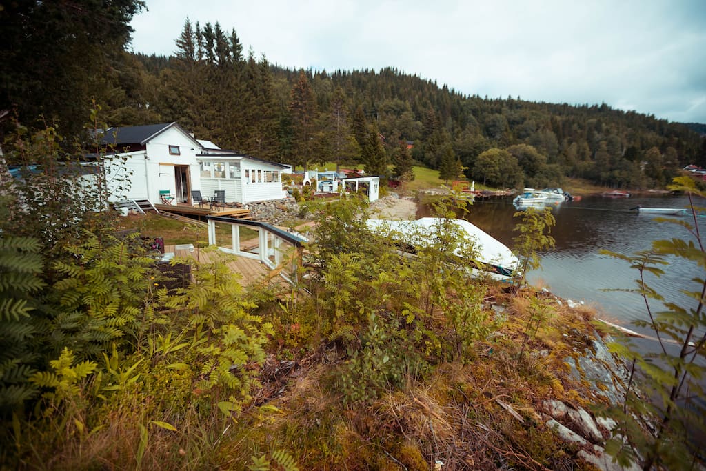 The cottage