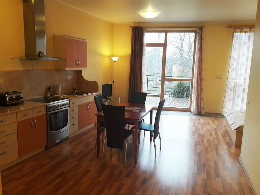 Studio type apartment