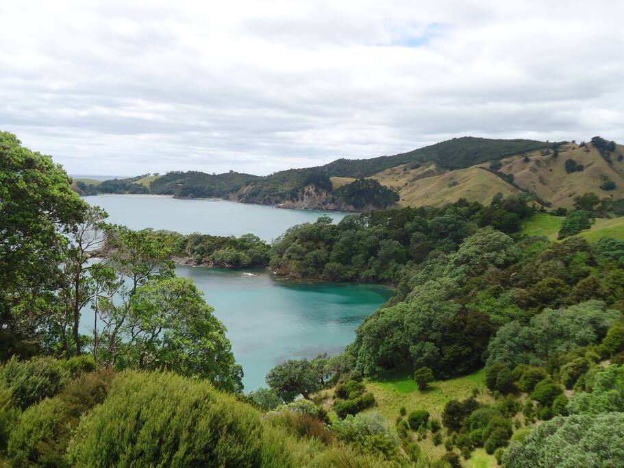 View from a walking track on the farm