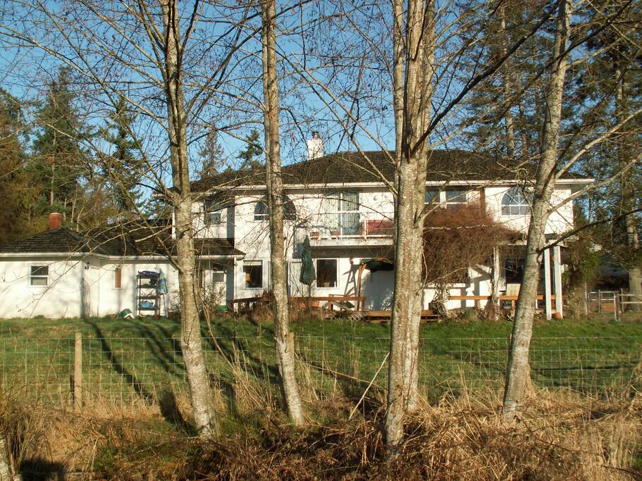 Back of the house