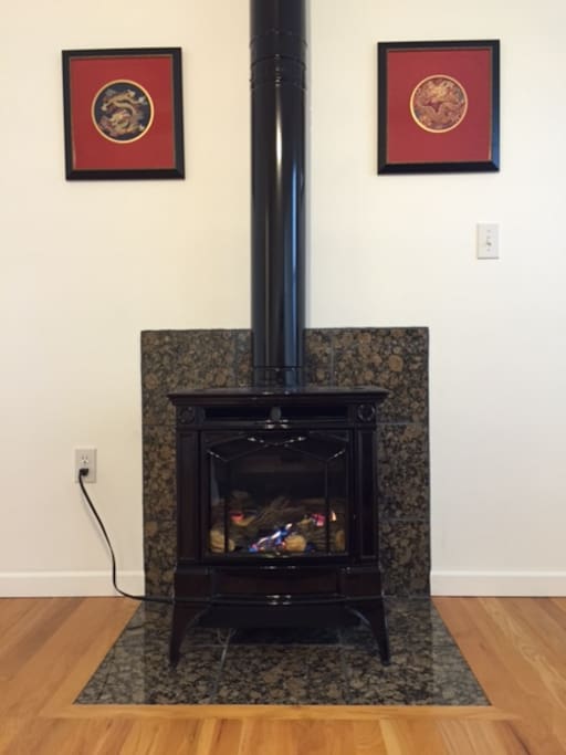 Cozy propane stove for living room warmth.