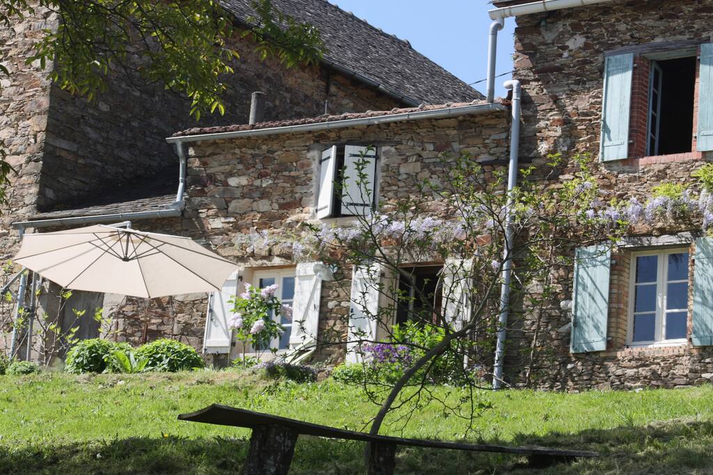 View from the garden