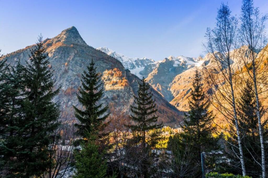 la vista