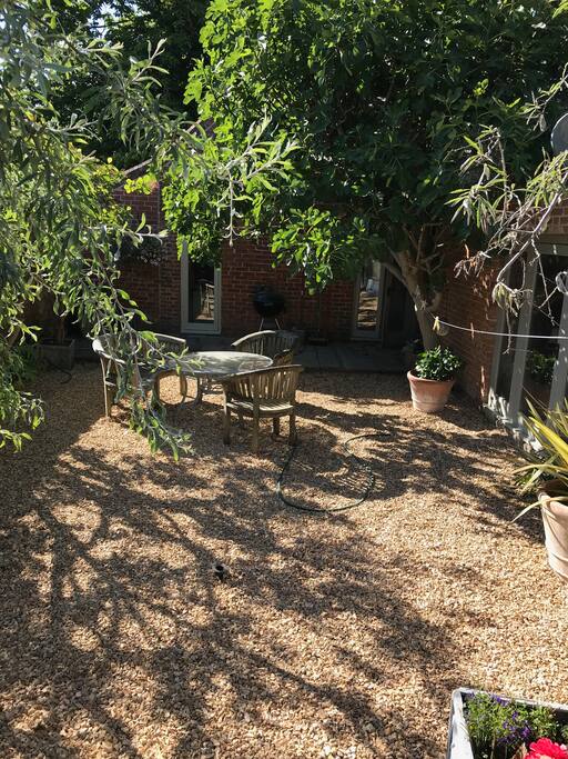 Outside space beneath Fig tree