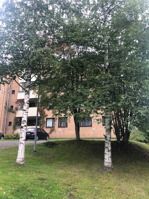 Peacefull apartment with sauna