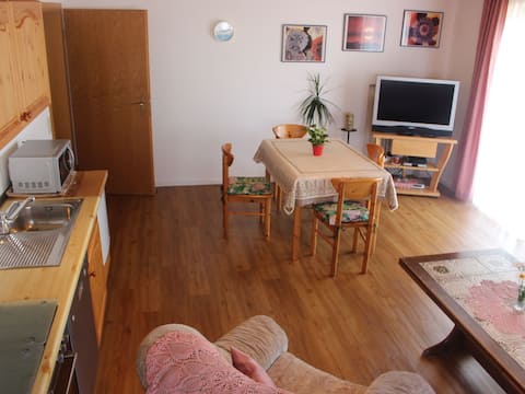 Apartment Haus Wannenberg, (Tengen), apartment, 80 sqm, 2 bedrooms, max. 4 people