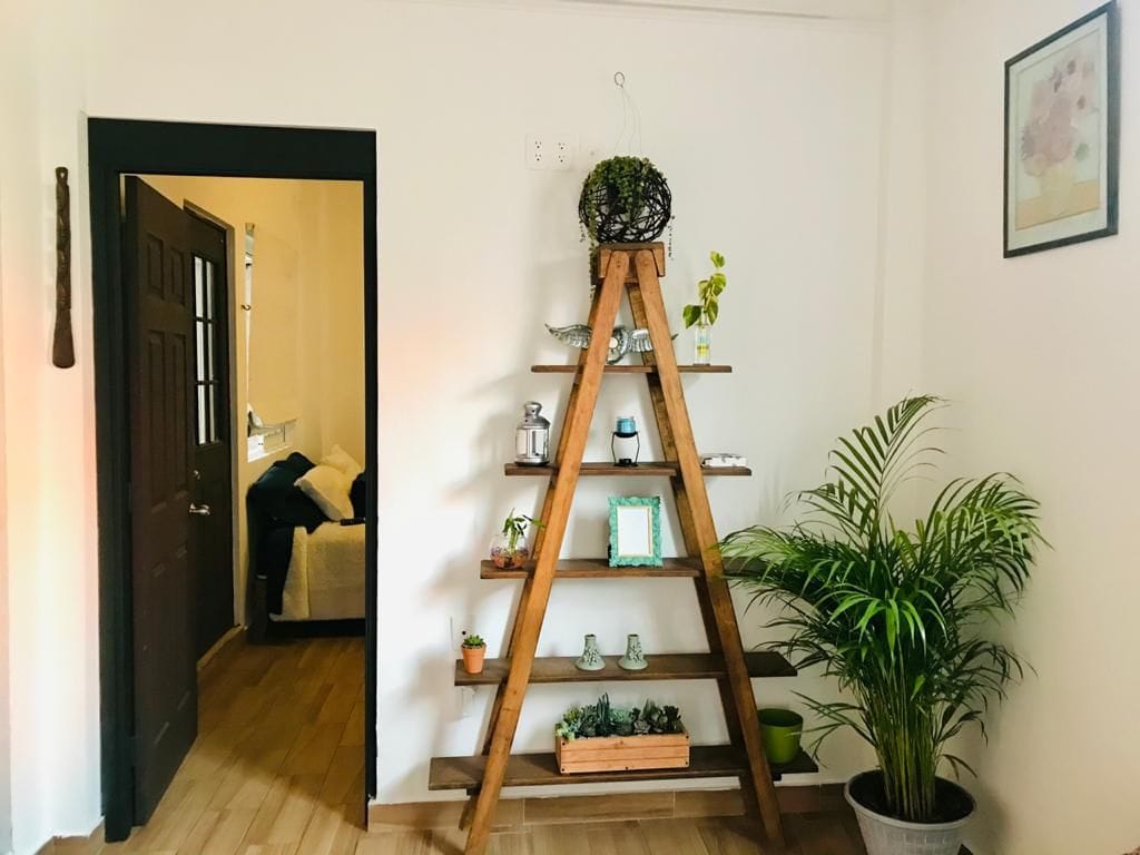Propiedad de Airbnb exitosa: Cozy apartment, center of Mexico City Xelhause en Obrera