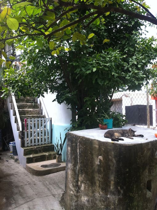 Entrance. Everything was repainted white and the tree was trimmed back but still the same.