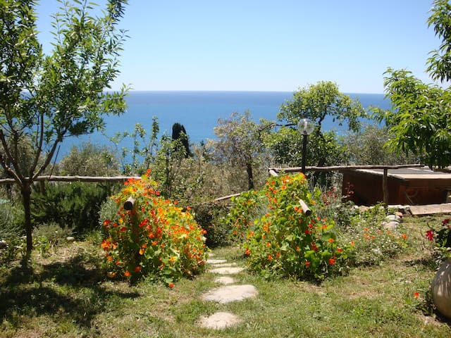 Airbnb Italian Riviera Ferienwohnungen Unterkunfte