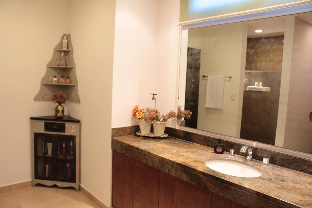Private bathroom (Master)