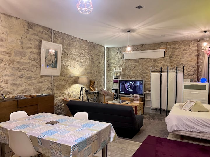 Large, quiet 50 m2 studio, 5 minutes from the city center. Lofts for Rent in DivonnelesBains