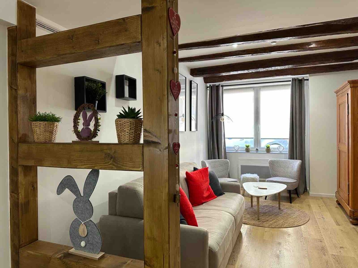 Annuncio Airbnb popolare: Welcome to the Heart of Alsace-Obernai Center - 3* - a Obernai