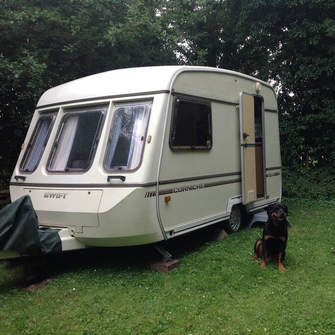 'Daphne' with attendant guard dog!
