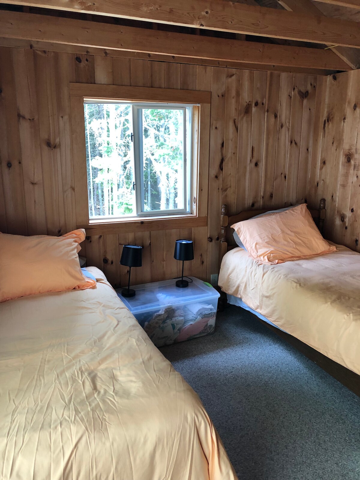 A cozy bedroom features two twin beds dressed in soft peach linens, flanked by small black bedside lamps. A window allows natural light to enter, offering a view of the surrounding greenery. The floor is covered in gray carpeting.
